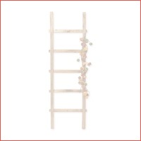 Decoratieve ladder recycle