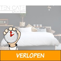 Ten Cate katoensatijnen dekbedovertrekset