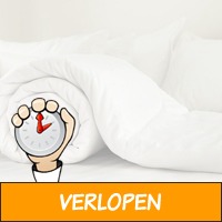 SleepMed 4-seizoenen dekbed