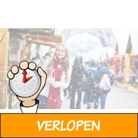 Dagje kerstshoppen Parijs