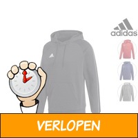 Adidas hoodie heren