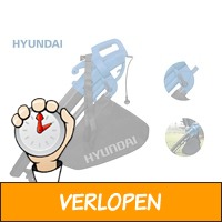 Hyundai 3-in-1 bladblazer en -zuiger