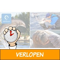 Entree voor het Dolfinarium