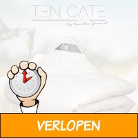 Ten Cate katoenen 4-seizoenen dekbed