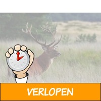 Weekendje weg nabij Arnhem en de Hoge Veluwe