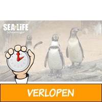 Entree SEA LIFE Scheveningen