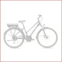 Puch Clubman Lady II S9 elektrische dame..