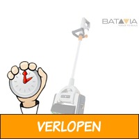 Batavia Maxxbrush terrasborstel