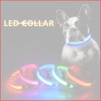 LED halsband voor de hond