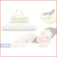 Bamboo Air Pillow