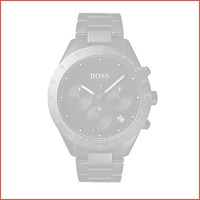 Hugo Boss Talent HB1513581