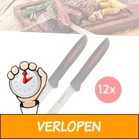 12 x steakmessen uit chirurgisch RVS staal