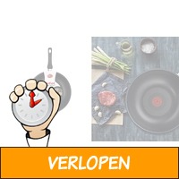 Tefal wokpan