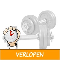 Dumbellset 30 kg gietijzer