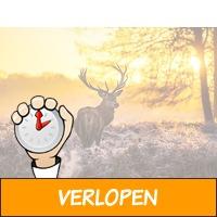 3 dagen vd Valk Veluwe