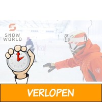 2 uur skien of snowboarden bij SnowWorld