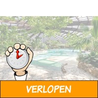 Verblijf Center Parcs De Kempervennen