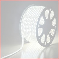 LED lichtslang 50 meter 6000 K