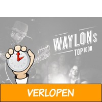 Veiling: Waylon's Top 1000 in Rotterdam Ahoy (2 p.)