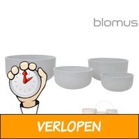 4 x Blomus plantenbakken Planta