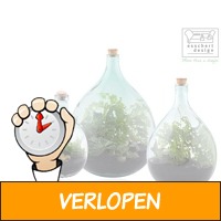 Esschert Design terrarium fles set