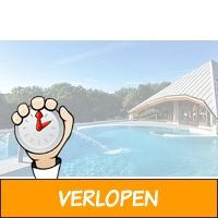 Entreeticket voor Thermae 2000