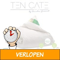 Ten Cate gerecycled donzen dekbed