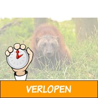 Ontmoet diersoorten uit de hele wereld in dierenpark Zi..