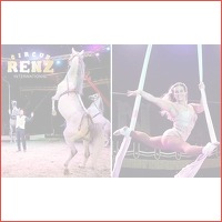 Voorstelling bij Kerstcircus Maastricht