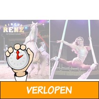 Voorstelling bij Kerstcircus Maastricht