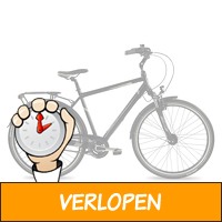 Romet Art Noveau 8.8 heren stadsfiets