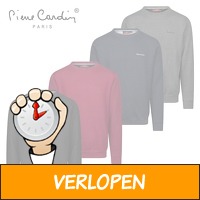 Pierre Cardin sweater