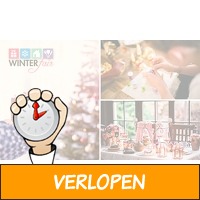 Toegang tot Winter-Fair Rotterdam