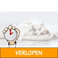 Verwarmingsmat voor honden/katten