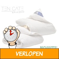 Ten Cate donzen 4-seizoenendekbed