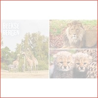 Entree Safaripark Beekse Bergen + warme ..