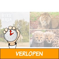 Entree Safaripark Beekse Bergen + warme drank