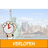 Wereldstad New York