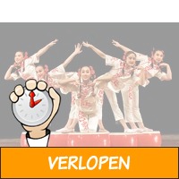 Groot Kerstcircus Den Haag