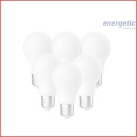 6 x Energetic dimbare LED lampen