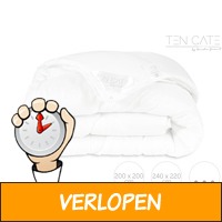 Ten Cate basic 4-seizoenen dekbed