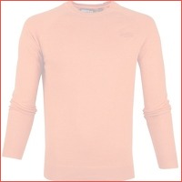 Superdry pullover