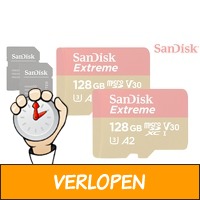 2 x SanDisk Extreme MicroSDXC