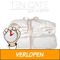 Ten Cate 4-seizoenendekbed met gratis kussen(s)