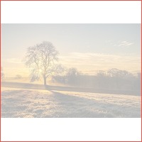 4 dagen in de heuvels van Zuid-Limburg