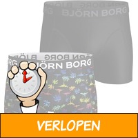 2 x Bjorn Borg boxershorts