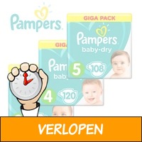 Pampers XL