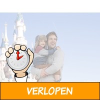 Beleef een magische dag Disneyland Paris