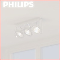 Philips spotlamp