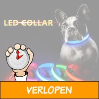 LED halsband voor de hond